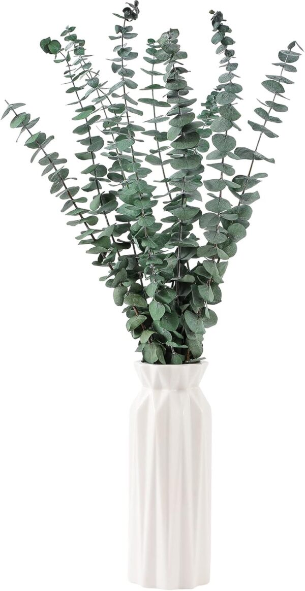 10 Pcs Dried Eucalyptus Stems 17" Real Eucalyptus for Shower Hanging 100% Made from Fresh Leaves, Wedding, Home, Farmhouse, DIY Spring Decor - Image 3
