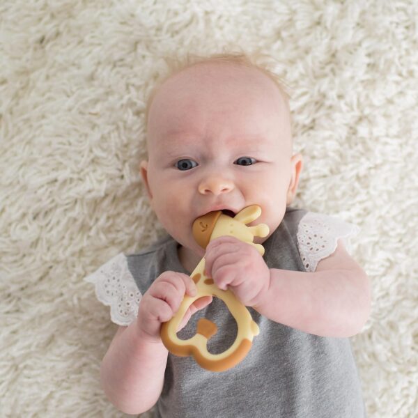 Dr. Brown's Ridgees Giraffe, Massaging Baby Teether, Designed by a Pediatric Dentist, BPA Free, 3m+ - Image 6
