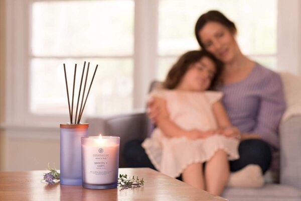 Chesapeake Bay Candle Medium Jar Scented Candle Serenity + Calm (Lavender Thyme) Home Décor Orange Gifting Idea Burn Time of 50 Hours - Image 6