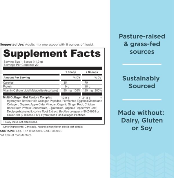 Ancient Nutrition Collagen Powder Protein, Multi Collagen Protein, Hydrolyzed Collagen Peptides Supports Skin and Nails, Joint Supplement (Gut Restore, 20 Servings) - Image 3