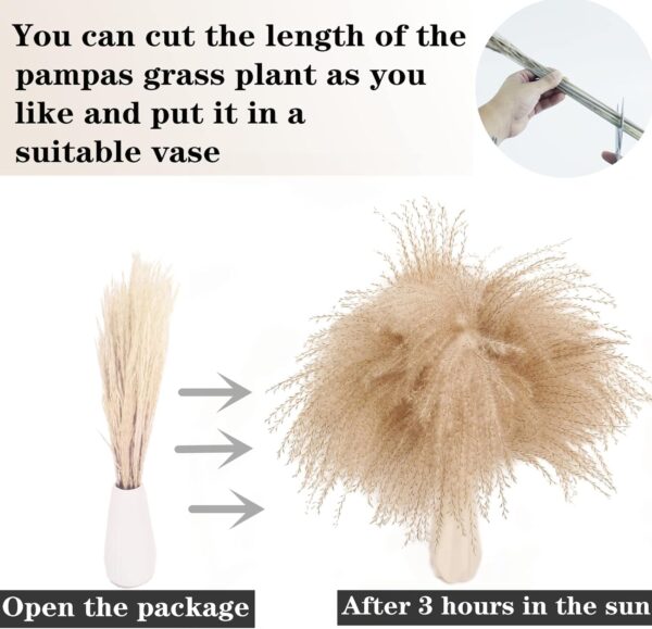 Dried Pampas Grass Decor, 100 Stems Pampas Grass Contains Bunny Tails Dried Flowers, Reed Grass Bouquet for Wedding Boho Flowers Home Table Decor, Rustic Farmhouse Party (17", White and Brown) - Image 6
