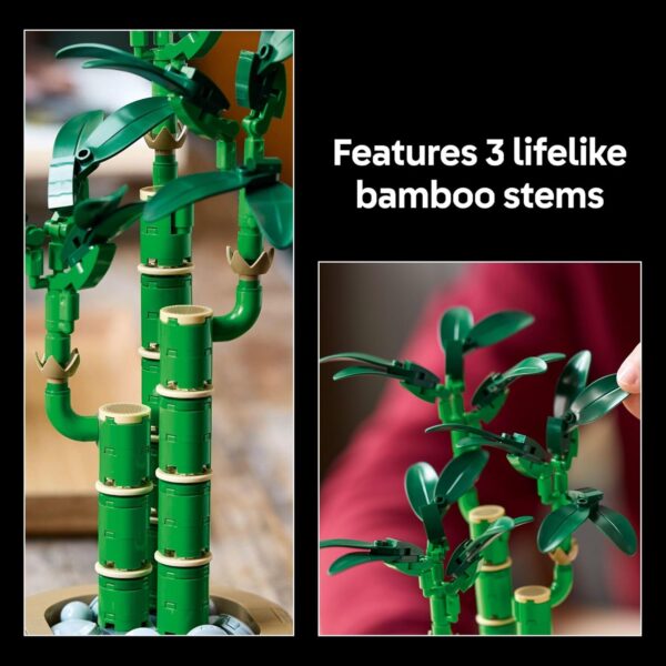 LEGO Botanicals Lucky Bamboo Building Set - Artificial Plant for Indoor Home Décor, Adults Ages 18+ - Fake Plant Decoration for Table, Desk, Office - Gift for Graduation - 10344 - Image 5