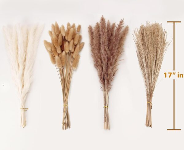 Dried Pampas Grass Decor, 100 Stems Pampas Grass Contains Bunny Tails Dried Flowers, Reed Grass Bouquet for Wedding Boho Flowers Home Table Decor, Rustic Farmhouse Party (17", White and Brown) - Image 3
