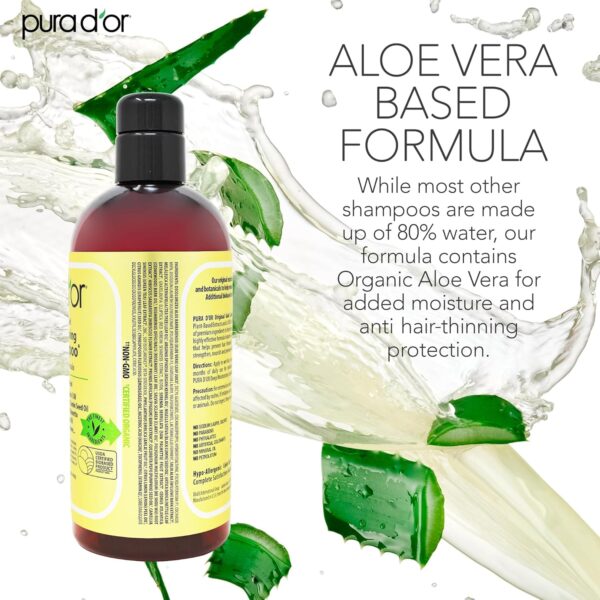 PURA D'OR 16 Oz Original Gold Label Anti-Thinning Biotin Shampoo Natural Earthy Scent, CLINICALLY TESTED Effective Results, Herbal Hair Thickening Products, 3-1 Wash, Women & Men, Color Treated Hair - Image 7