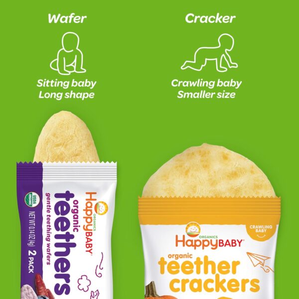 Happy Baby Organics Teether, 3 Flavor Variety Pack, 12 Count (Pack of 3) - Image 6